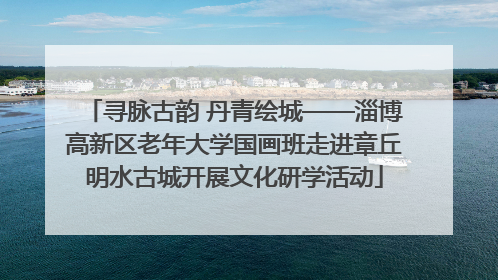 寻脉古韵 丹青绘城——淄博高新区老年大学国画班走进章丘明水古城开展文化研学活动